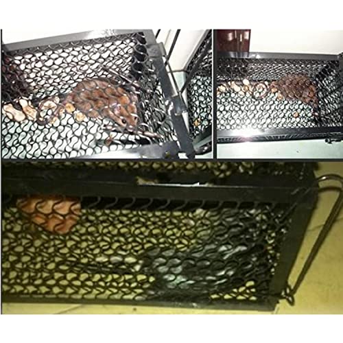 Humane Mouse Trap Cage for Safe Catch and Release of Rodents