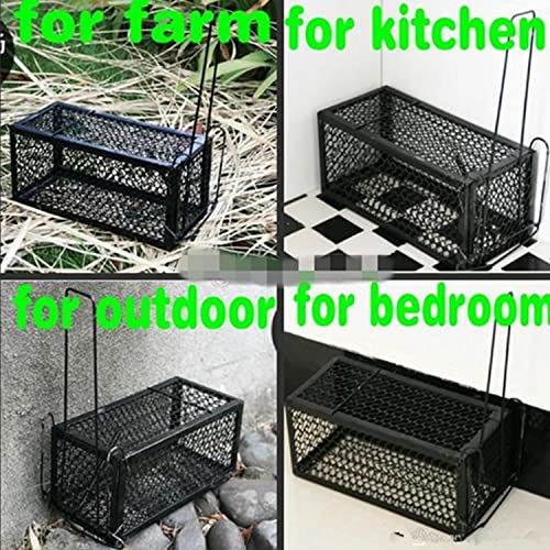 Humane Mouse Trap Cage for Safe Catch and Release of Rodents