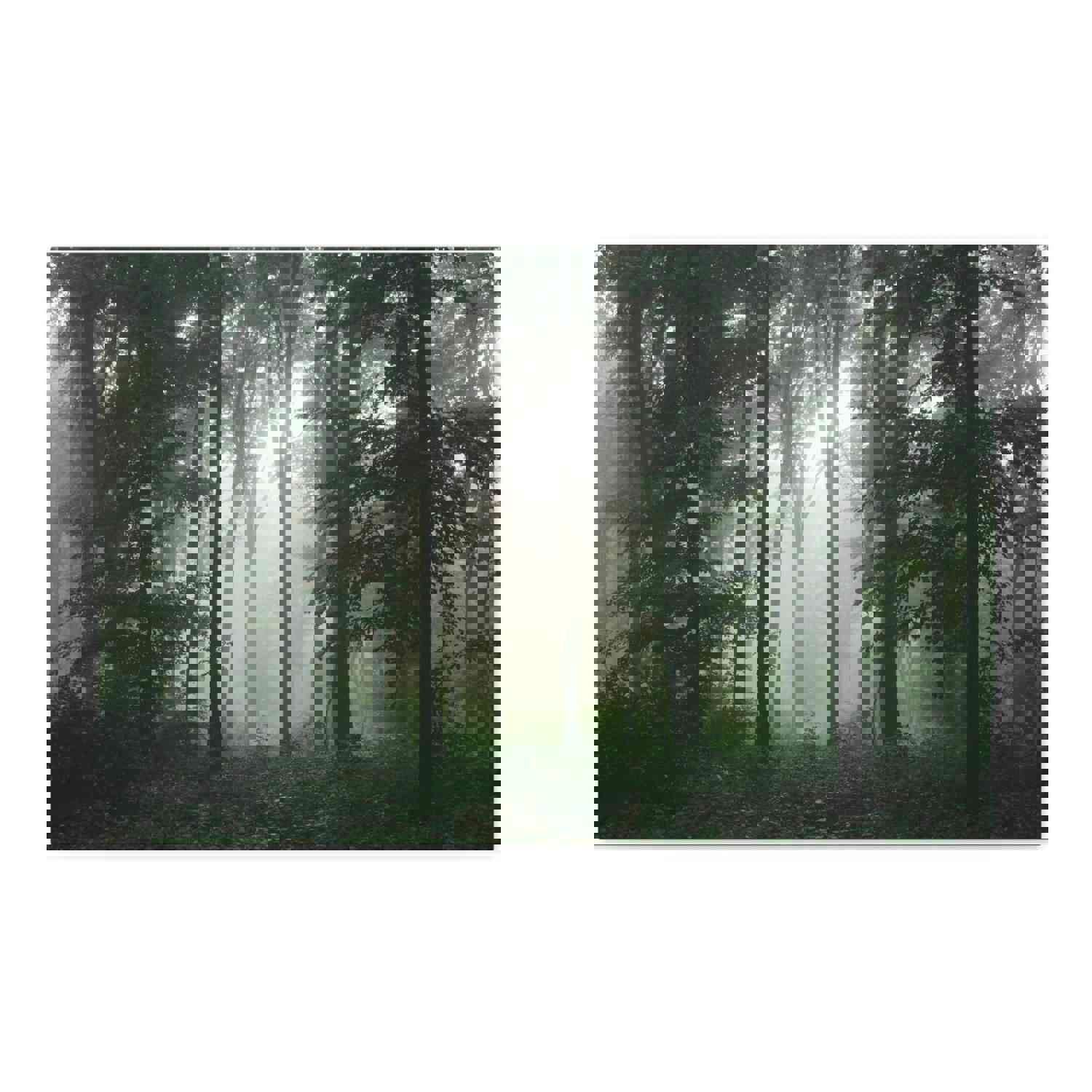 Pine Tree Misty Forest Nature Wilderness Photography Canvas Wall Art for Home Decor