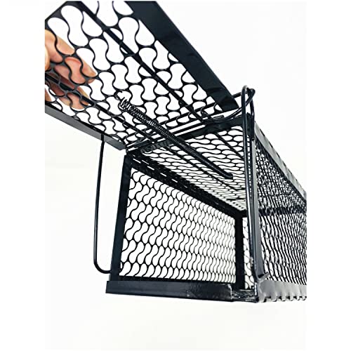 Humane Mouse Trap Cage for Safe Catch and Release of Rodents