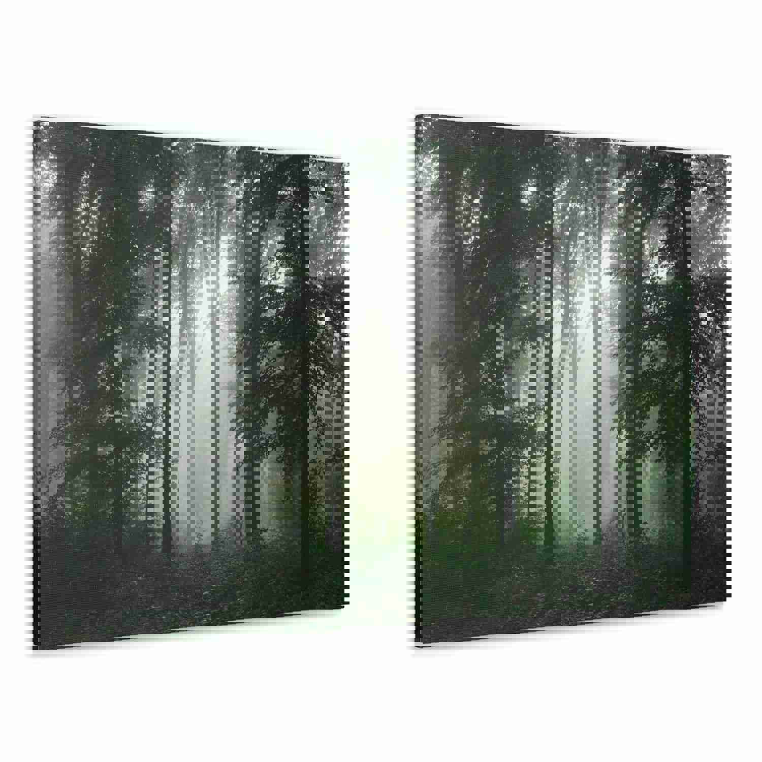 Pine Tree Misty Forest Nature Wilderness Photography Canvas Wall Art for Home Decor
