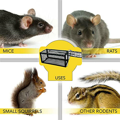 Humane Mouse Trap Cage for Safe Catch and Release of Rodents