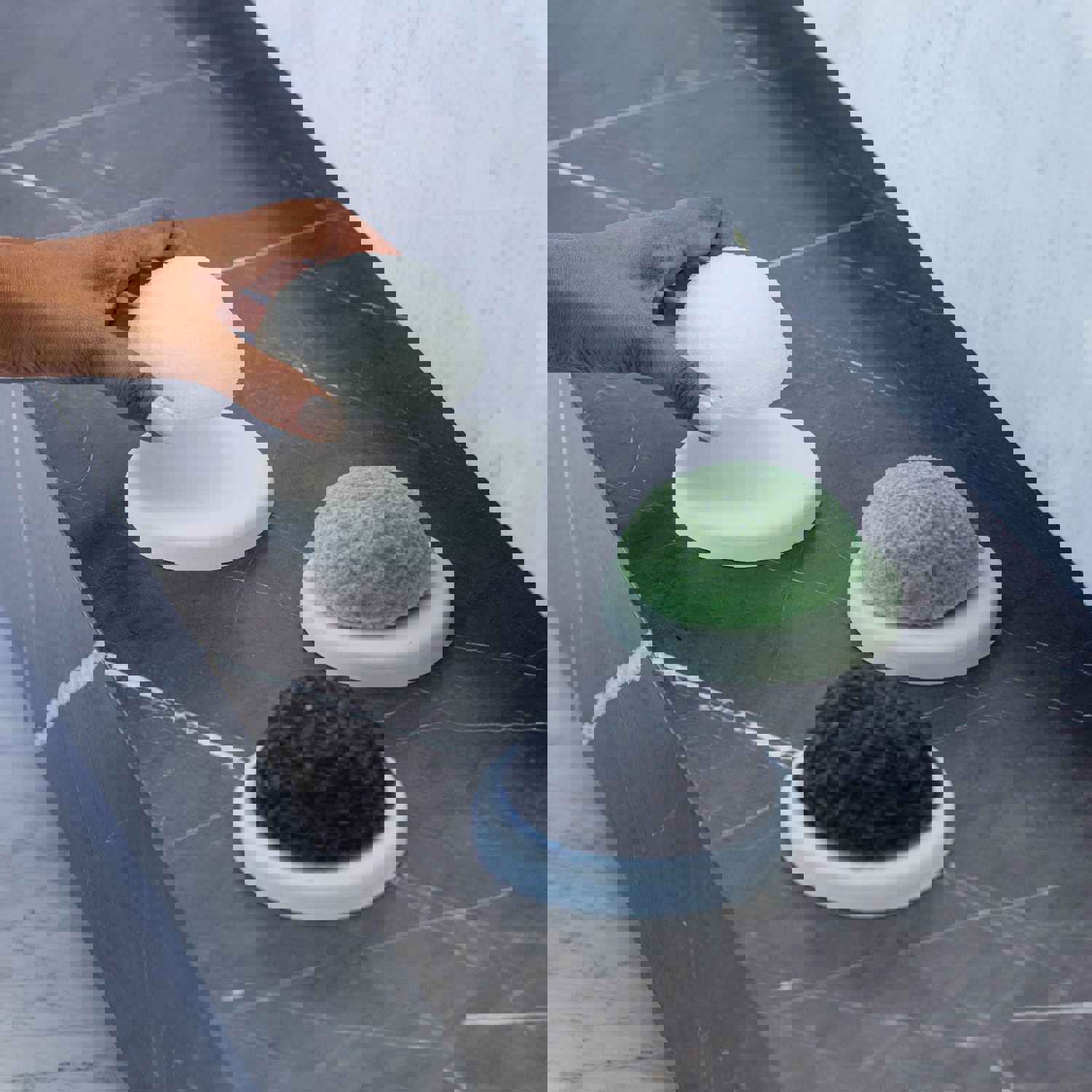 Longevity Skincare Travel Bundle