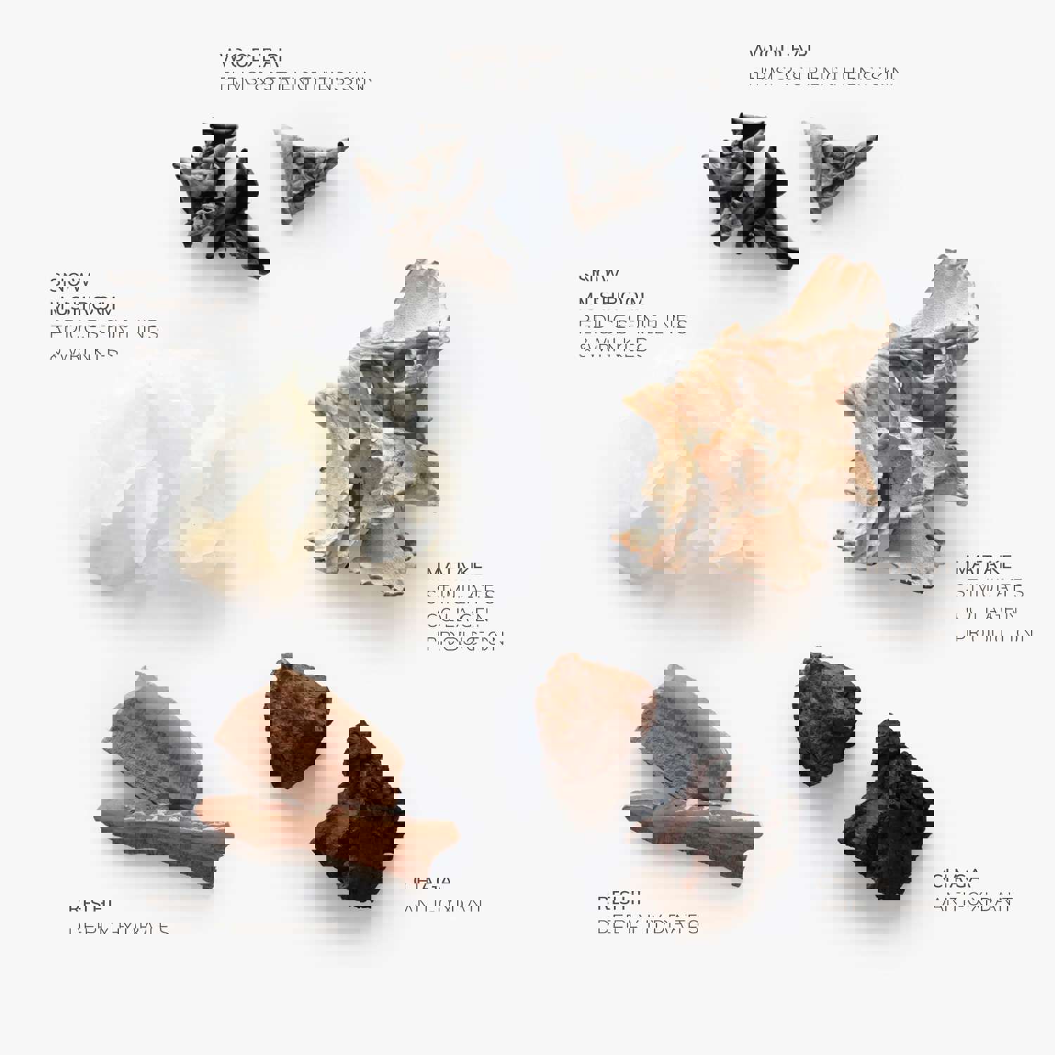 Longevity Skincare Travel Bundle