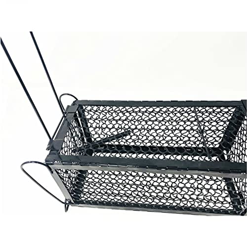 Humane Mouse Trap Cage for Safe Catch and Release of Rodents