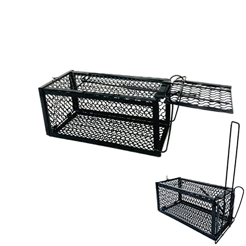Humane Mouse Trap Cage for Safe Catch and Release of Rodents