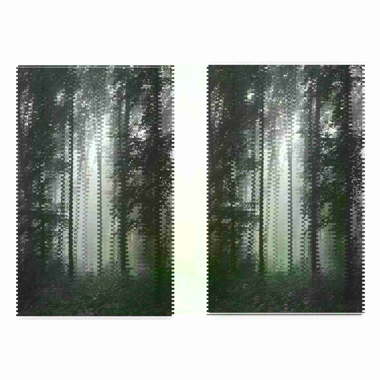 Pine Tree Misty Forest Nature Wilderness Photography Canvas Wall Art for Home Decor
