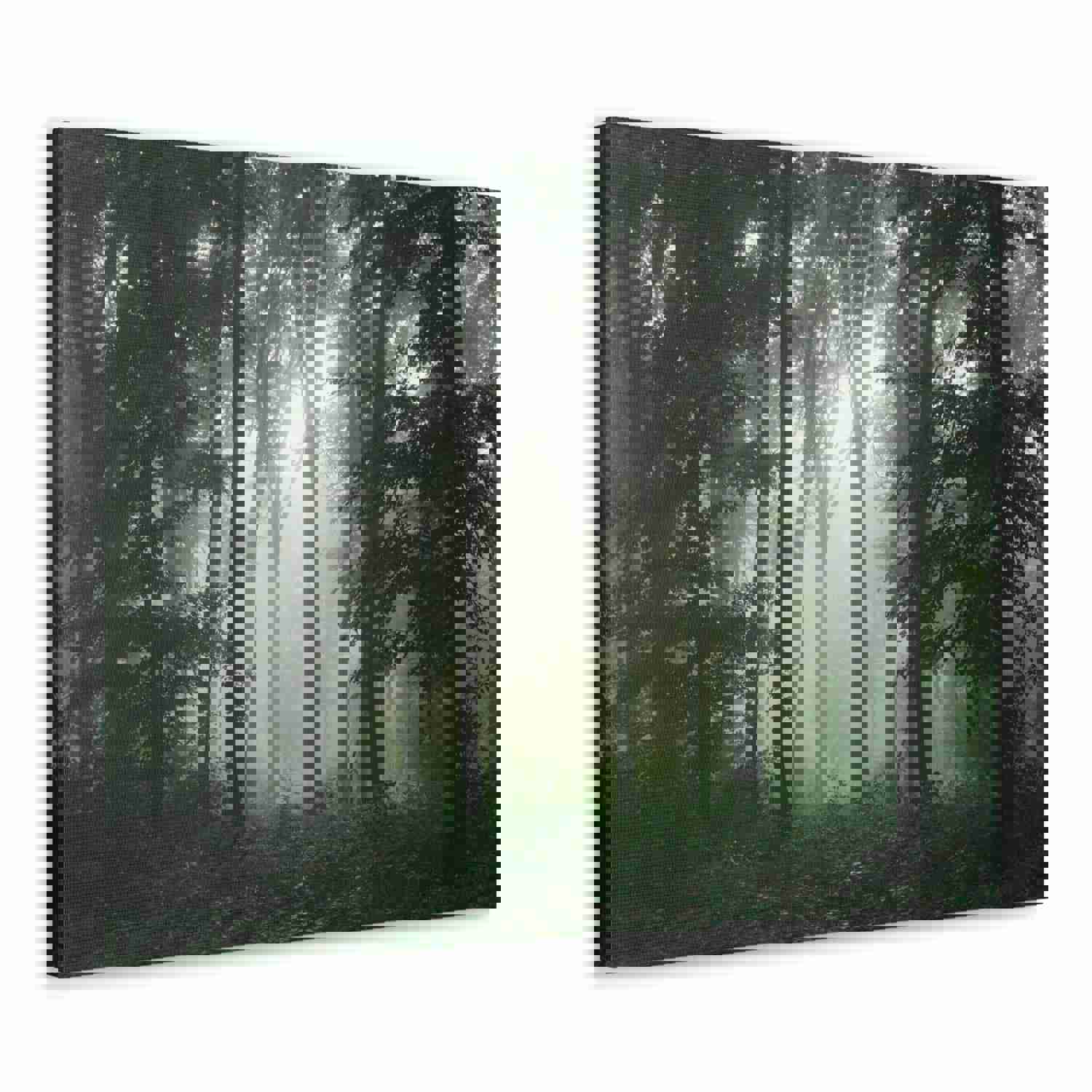 Pine Tree Misty Forest Nature Wilderness Photography Canvas Wall Art for Home Decor