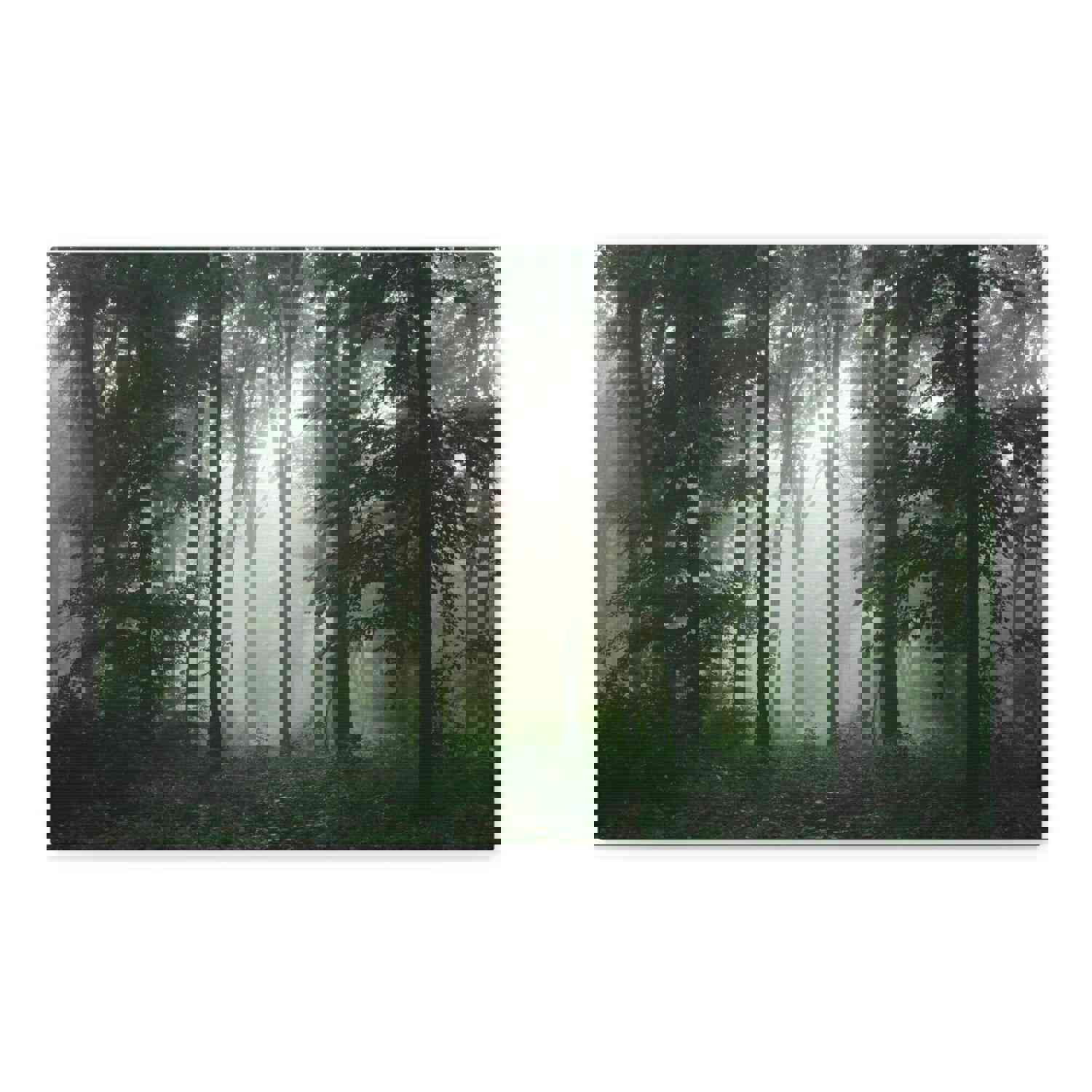 Pine Tree Misty Forest Nature Wilderness Photography Canvas Wall Art for Home Decor