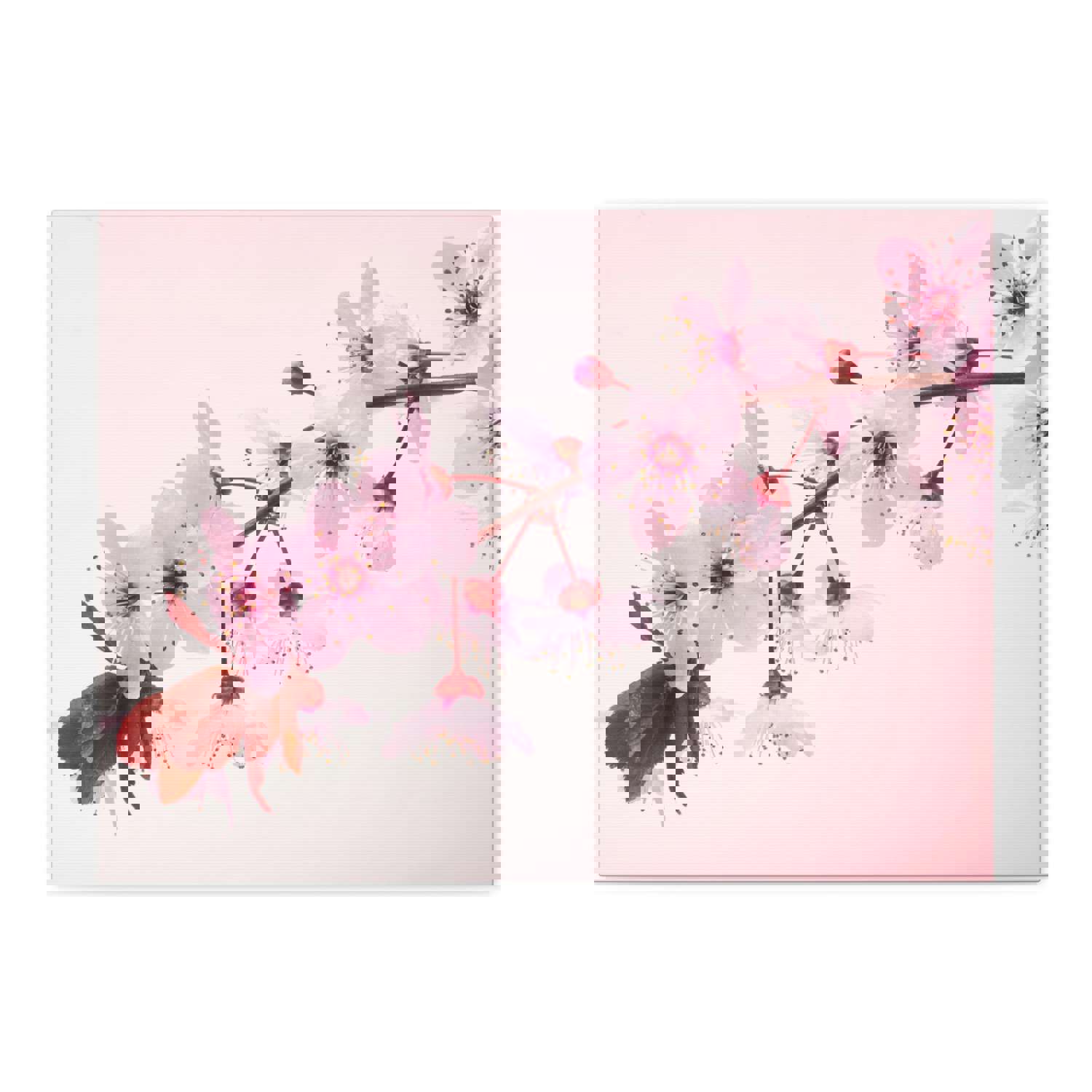 Single Cherry Blossom Forest Floral Nature Photography Canvas Wall Art for Home Decor