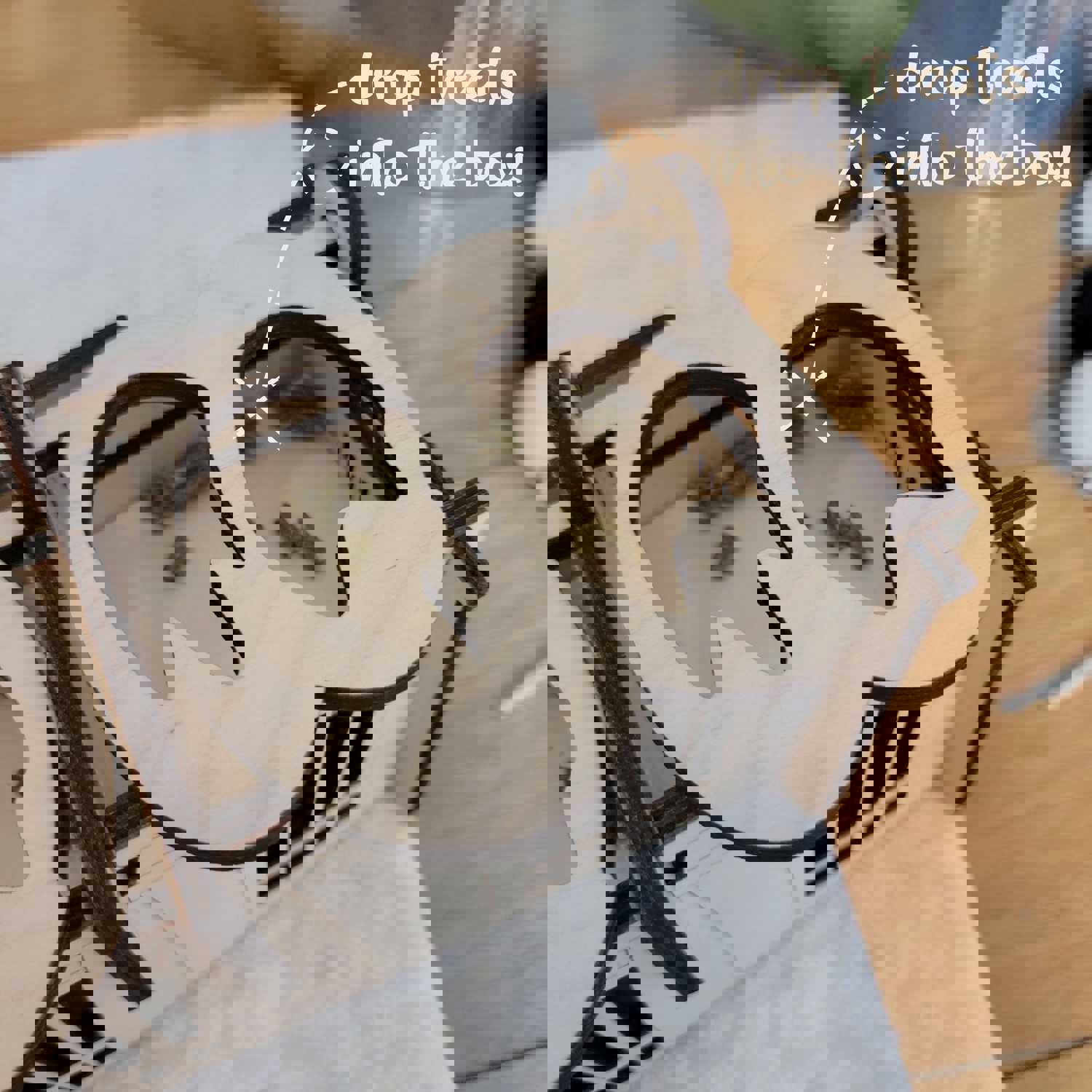 Halloween Trick or Treat Series Boooo Flip Box - Bunny Enrichment Puzzle Toy