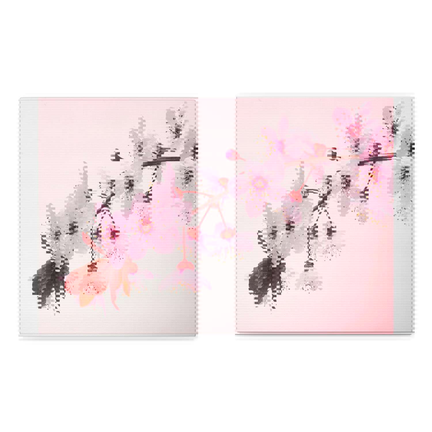 Single Cherry Blossom Forest Floral Nature Photography Canvas Wall Art for Home Decor