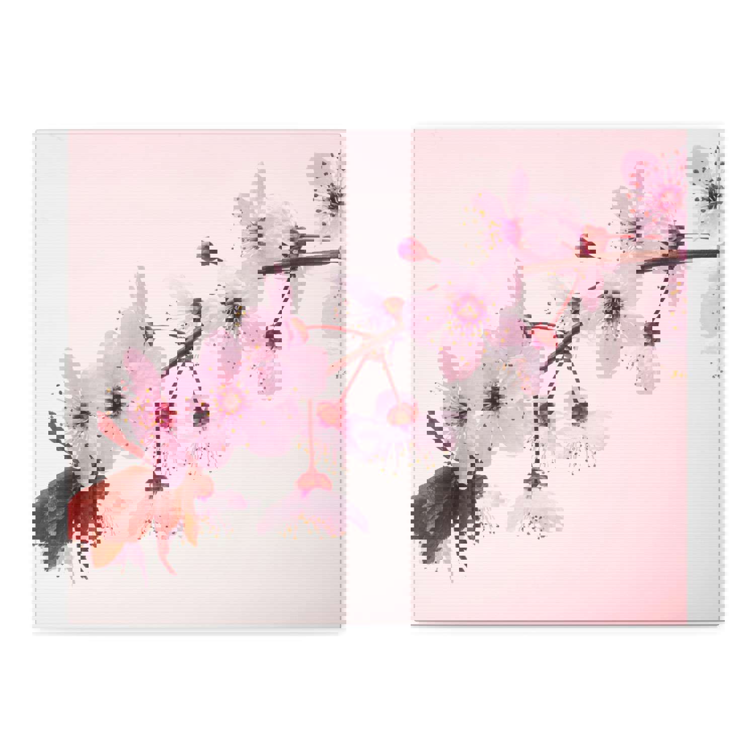 Single Cherry Blossom Forest Floral Nature Photography Canvas Wall Art for Home Decor