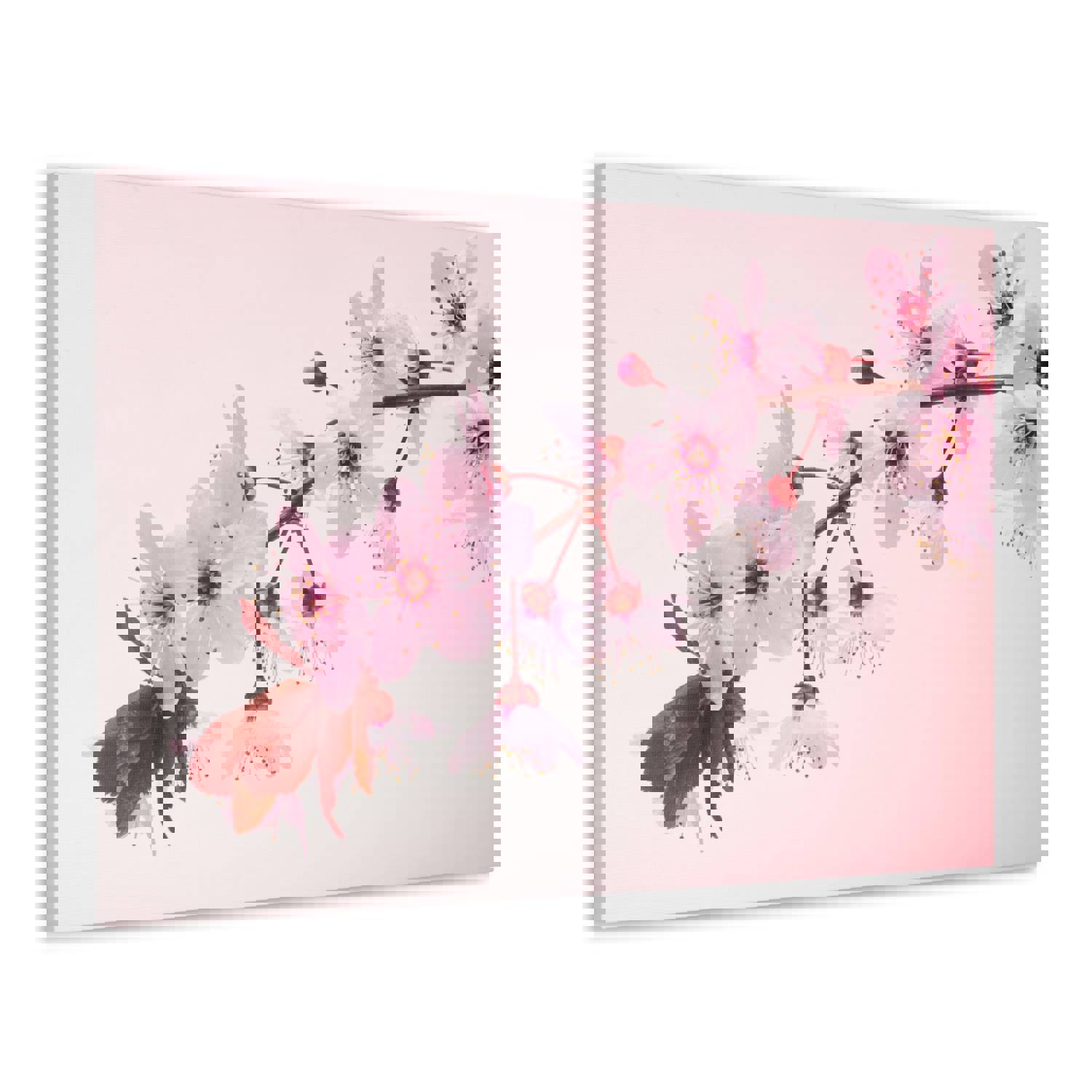 Single Cherry Blossom Forest Floral Nature Photography Canvas Wall Art for Home Decor