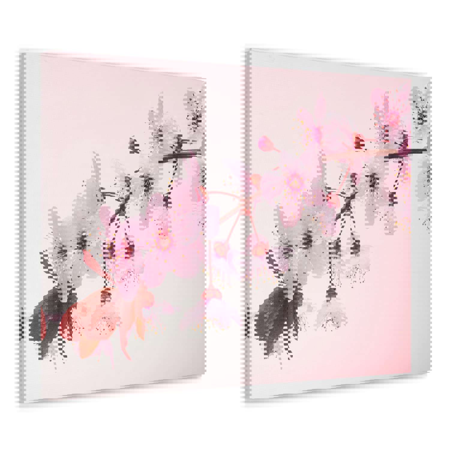 Single Cherry Blossom Forest Floral Nature Photography Canvas Wall Art for Home Decor