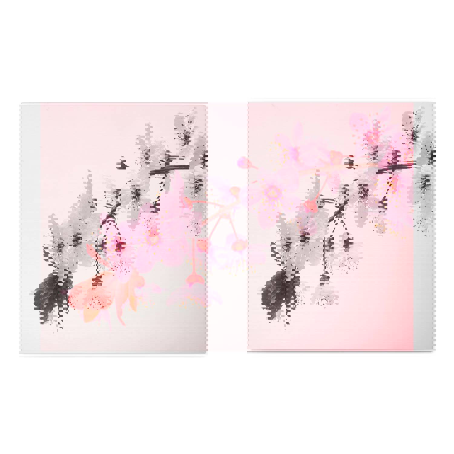 Single Cherry Blossom Forest Floral Nature Photography Canvas Wall Art for Home Decor