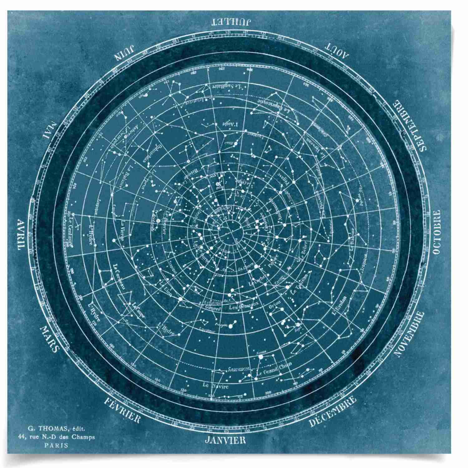 Natural Curiosities Planisphere Art - Vintage Celestial Chart