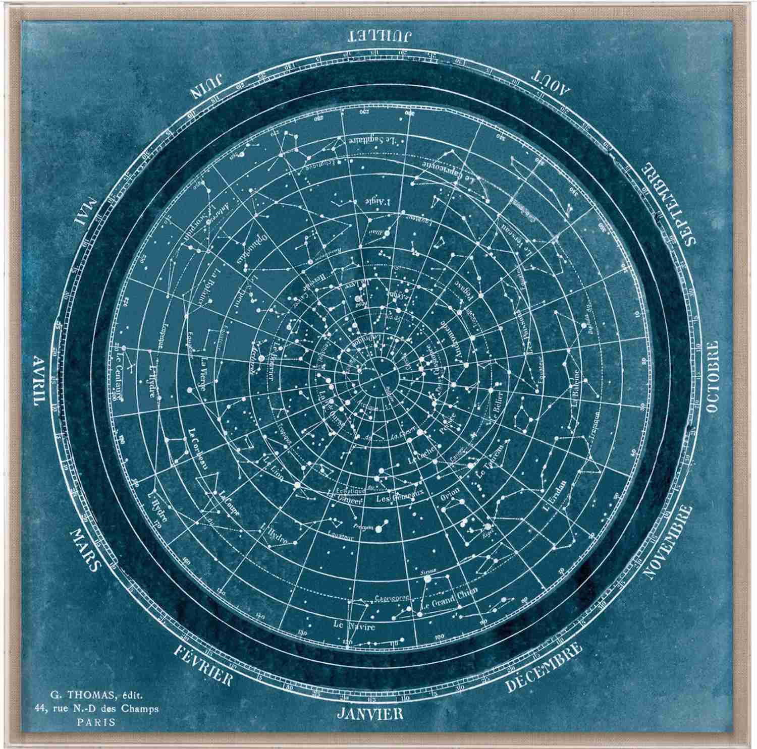 Natural Curiosities Planisphere Art - Vintage Celestial Chart