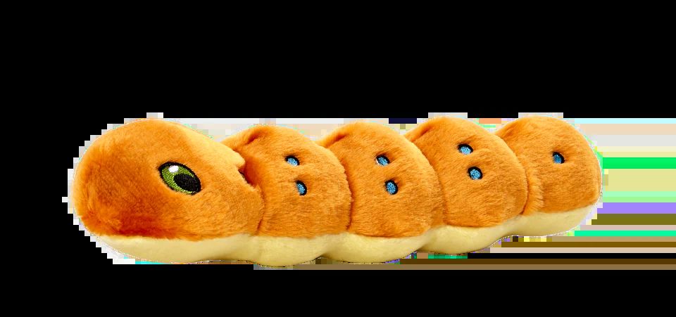 Fluff & Tuff Caterpillar Dog Toy - Adorable and Durable Playmate