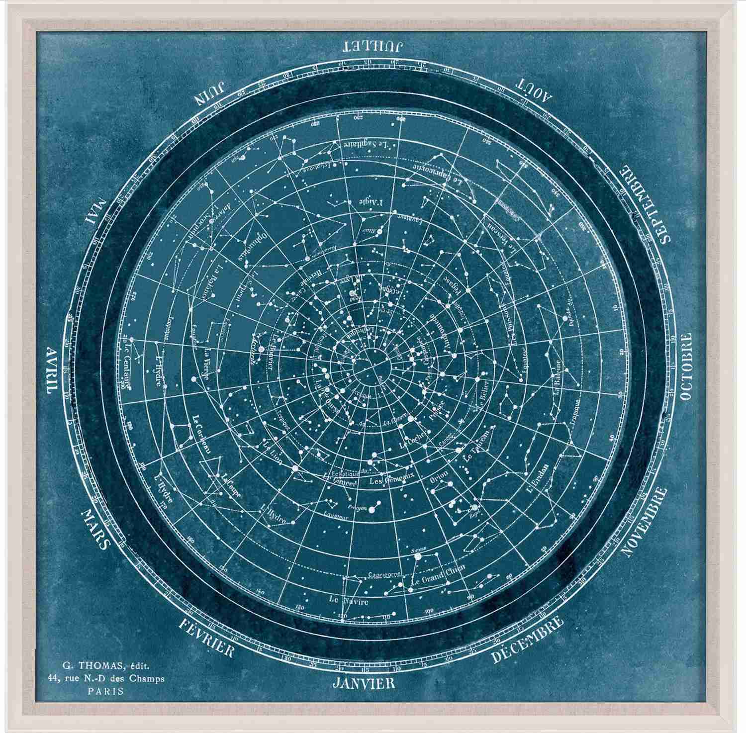 Natural Curiosities Planisphere Art - Vintage Celestial Chart