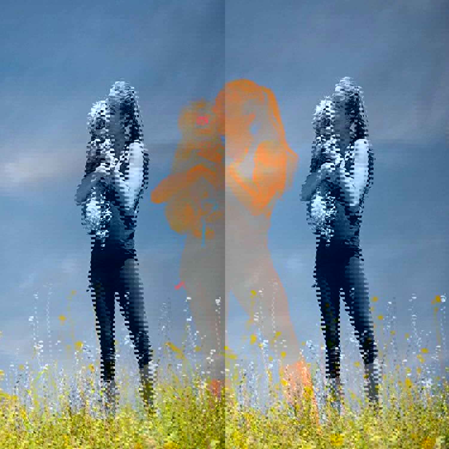 Nulo Freeze Dried Raw Dog Food - Turkey Recipe (13 Oz Bag)