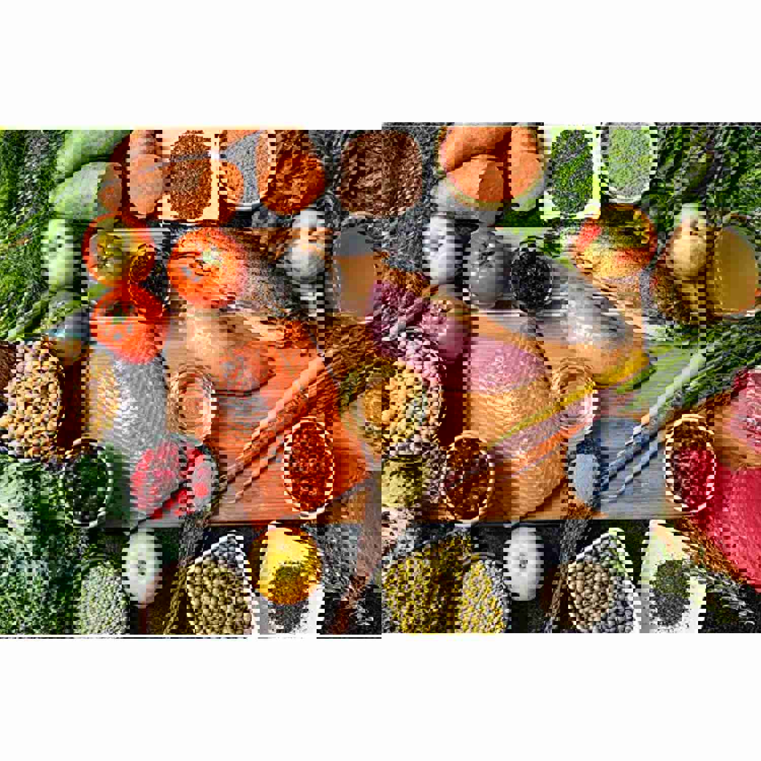 Nulo Freeze Dried Raw Dog Food - Turkey Recipe (13 Oz Bag)