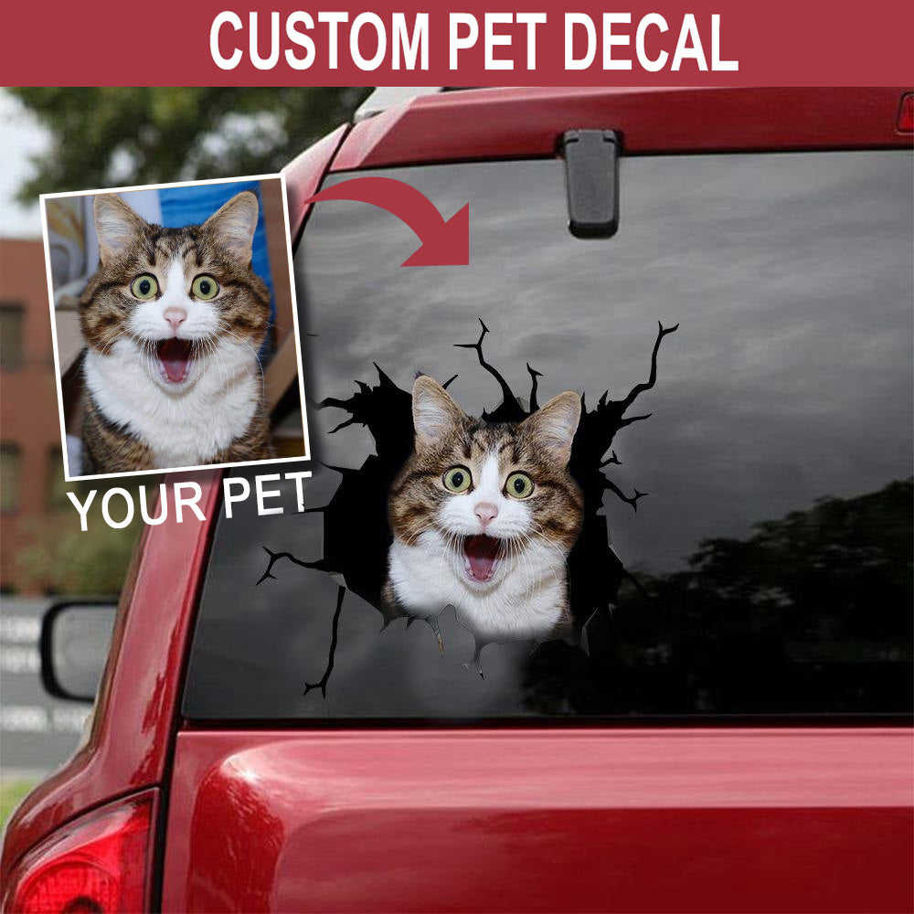 Personalized Pet Crack Sticker - Cute and Durable Sticker Paper for Camping Gifts