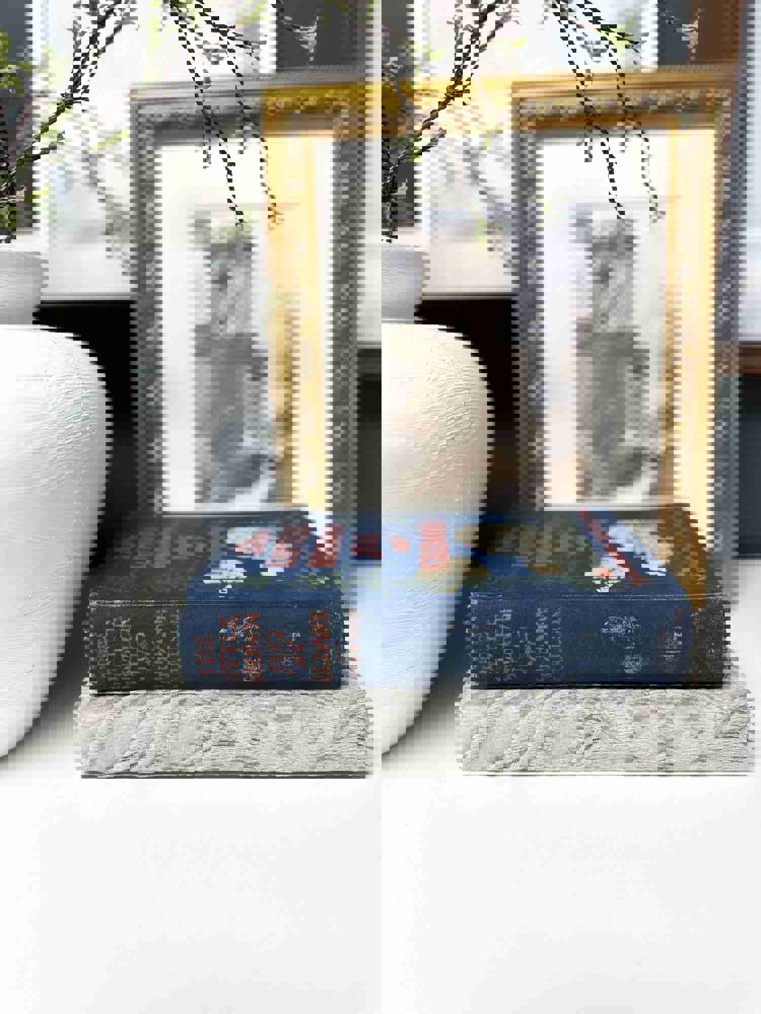 Blue and Gray Decorative Books for Shelf Decor