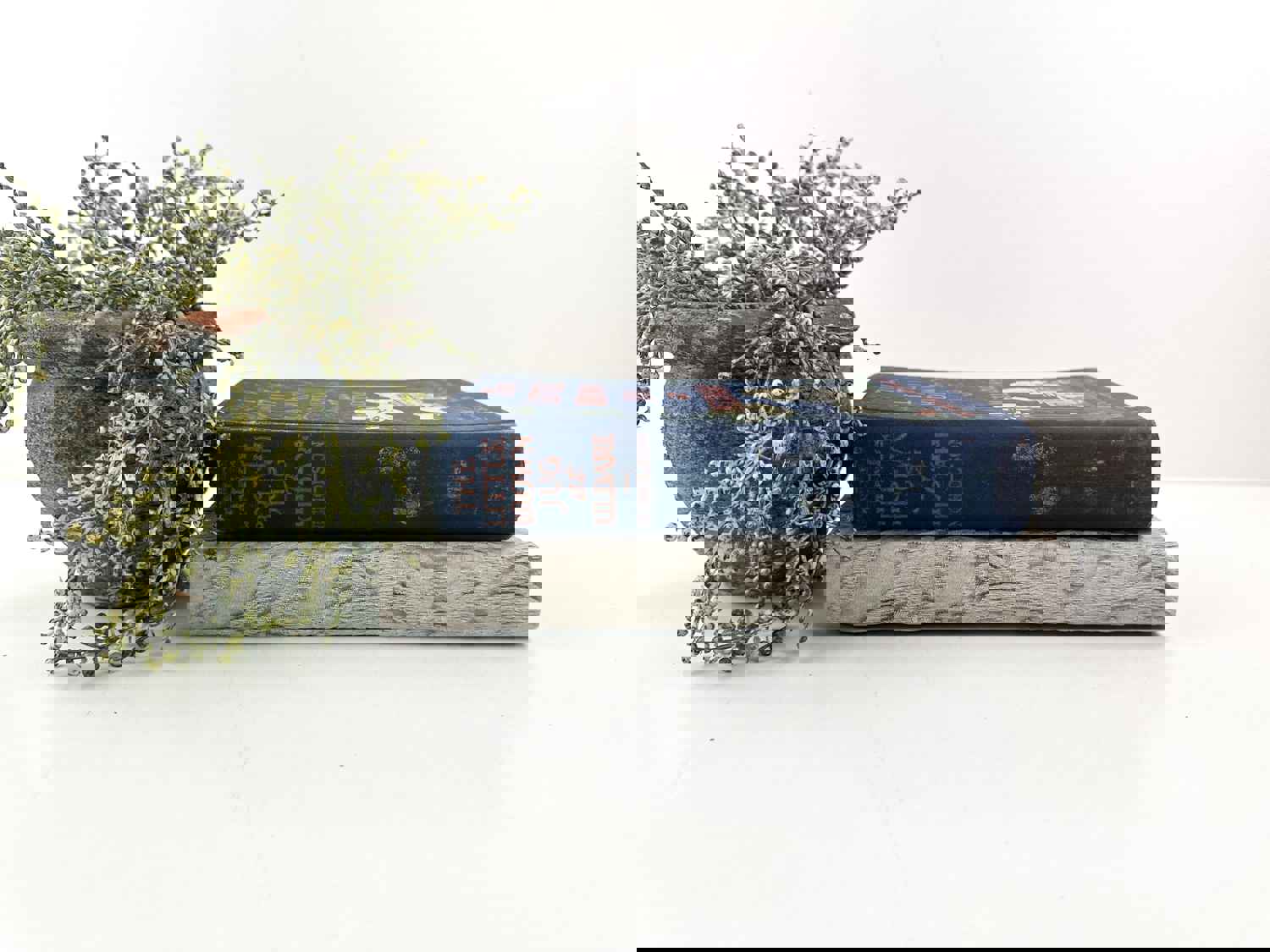 Blue and Gray Decorative Books for Shelf Decor