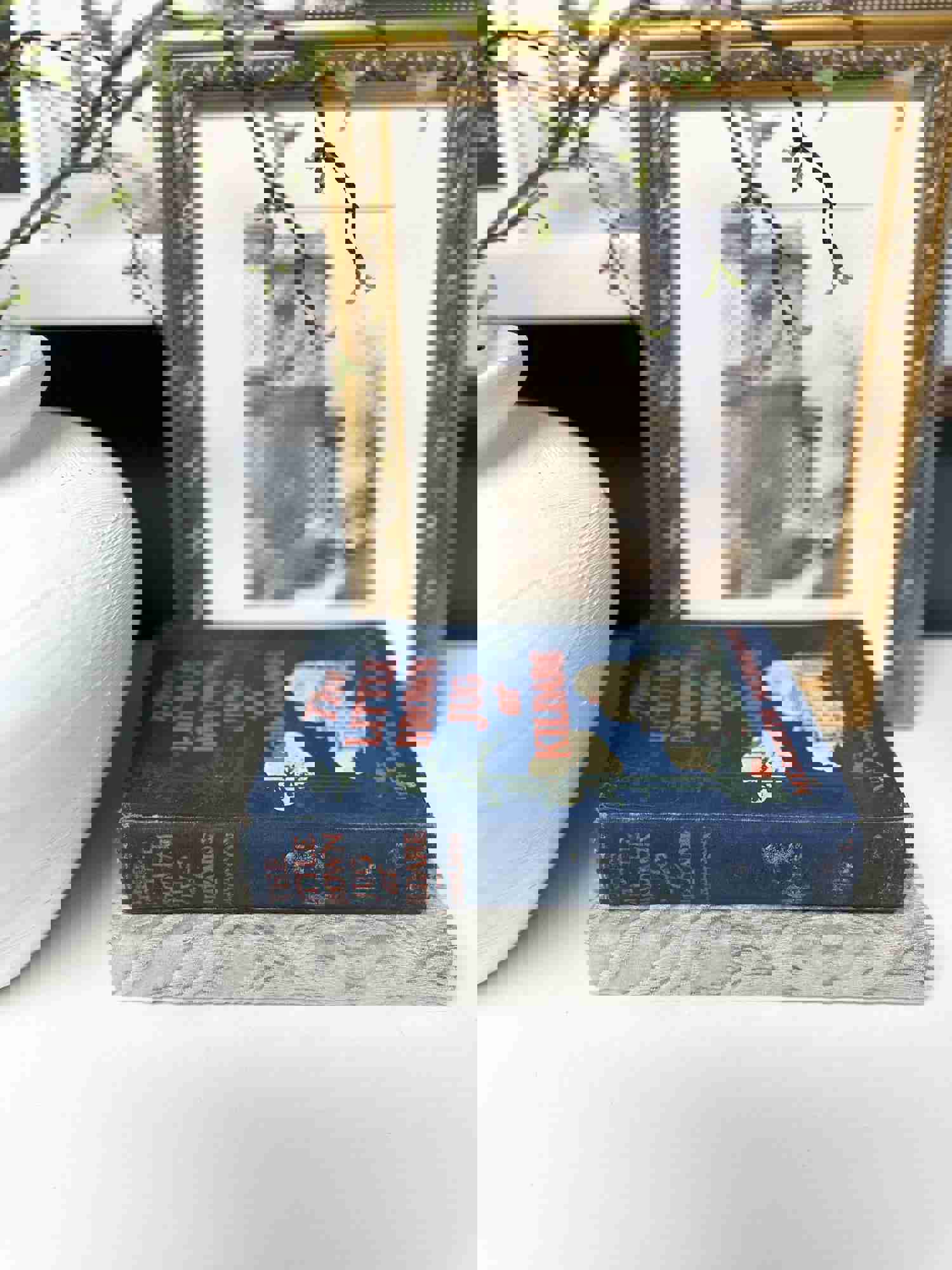 Blue and Gray Decorative Books for Shelf Decor