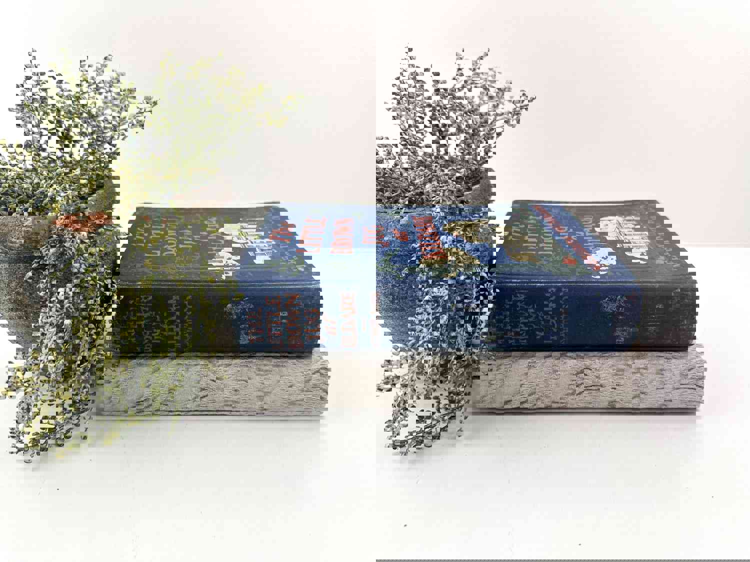 Blue and Gray Decorative Books for Shelf Decor