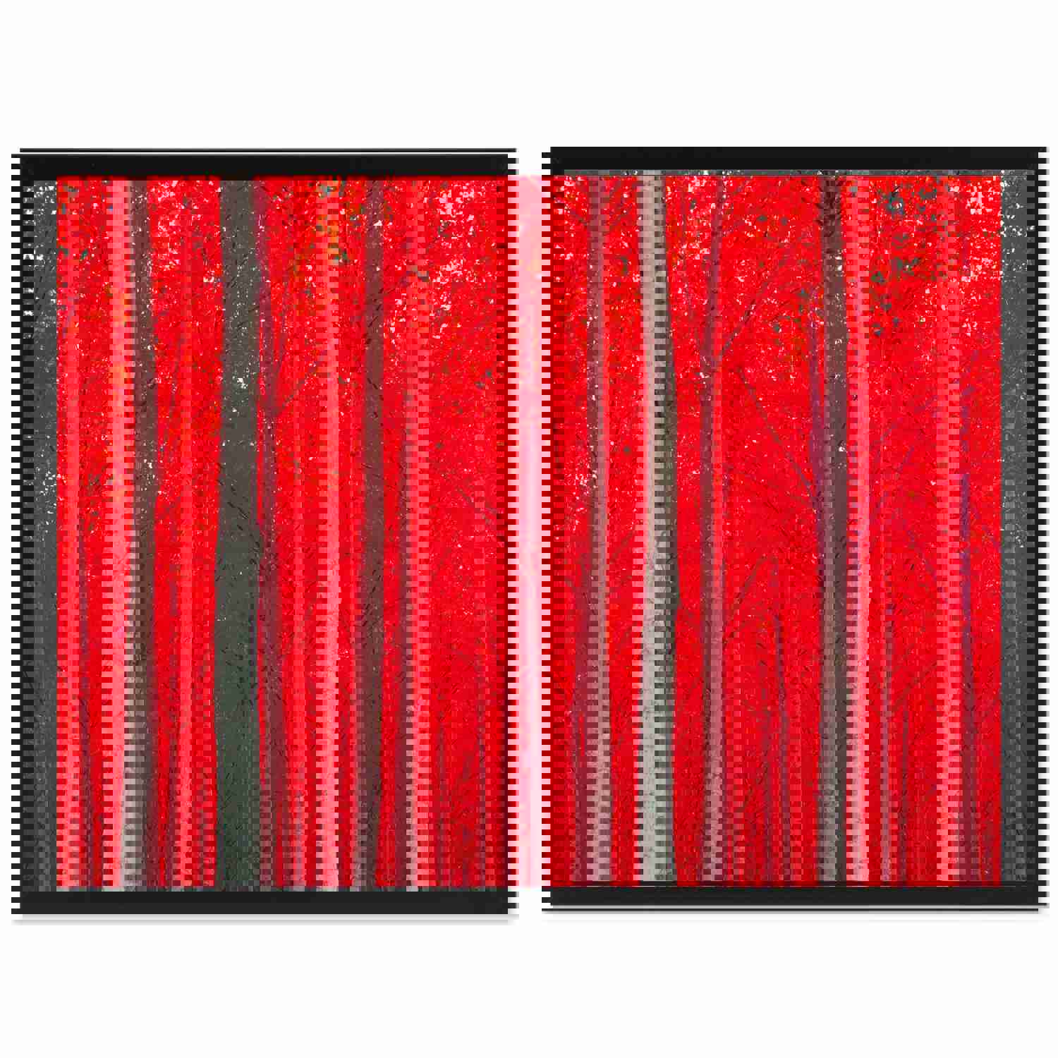 Autumn Tree Red Landscape Photo Canvas Print for Home Décor