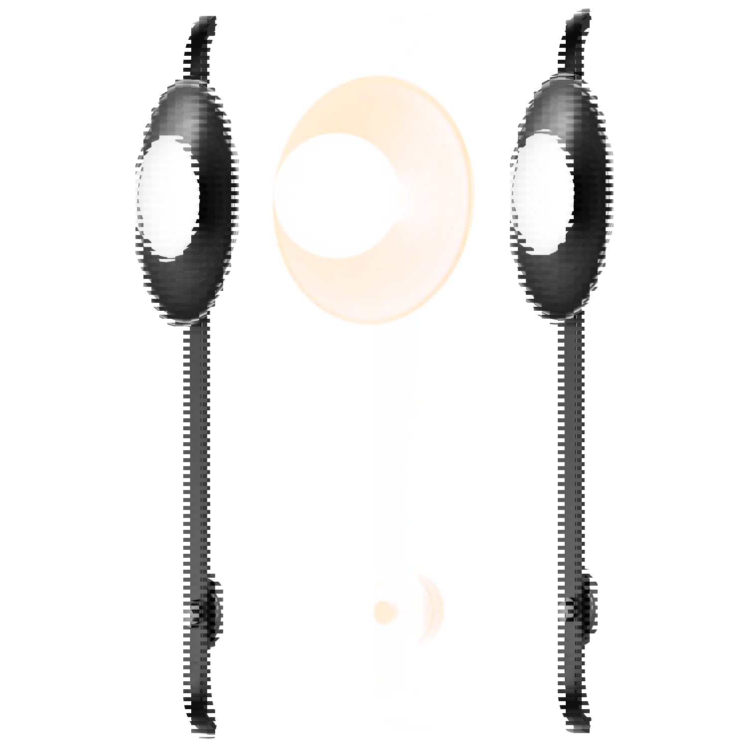 SATCO/NUVO Colby 1 Light Wall Sconce Matte Black And Antique Copper Finish (60-7740)