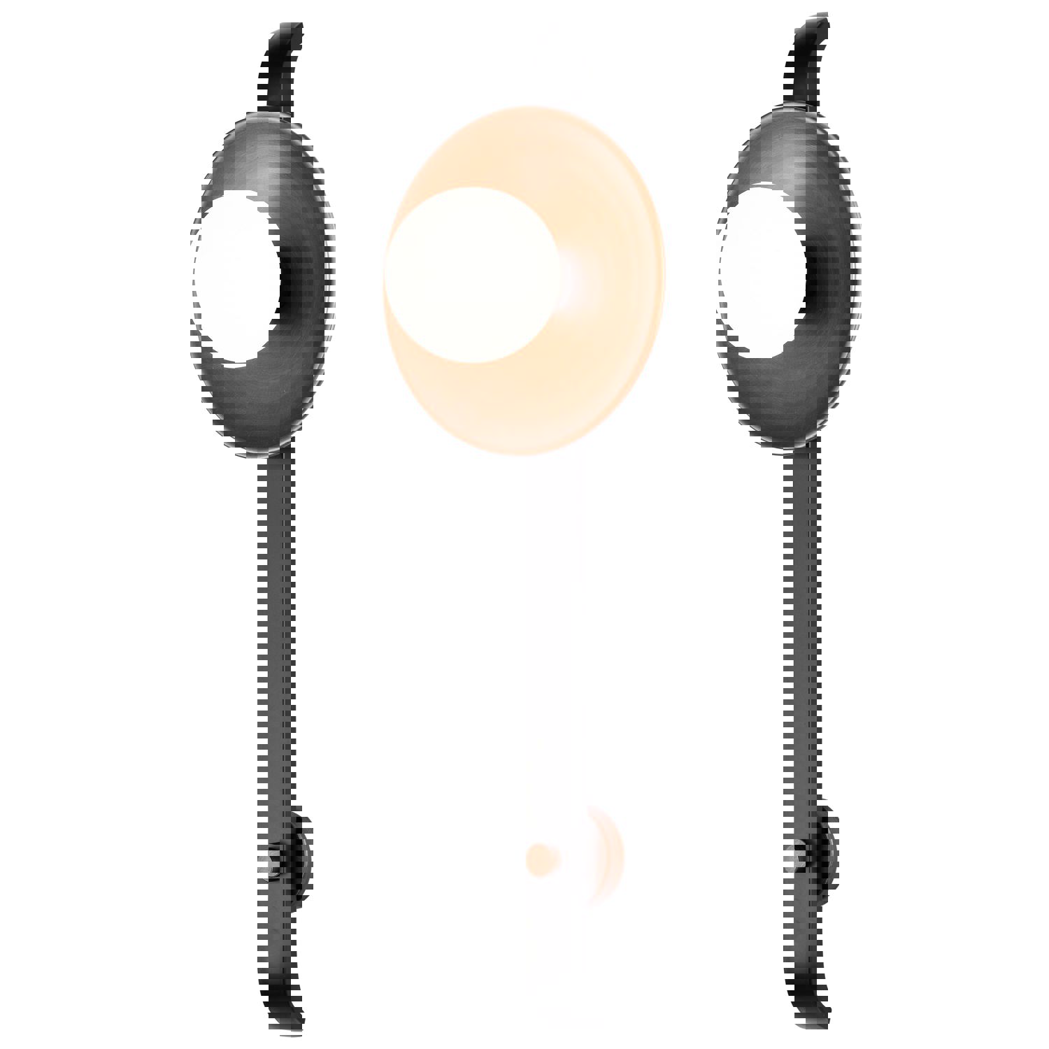 SATCO/NUVO Colby 1 Light Wall Sconce Matte Black And Antique Copper Finish (60-7740)