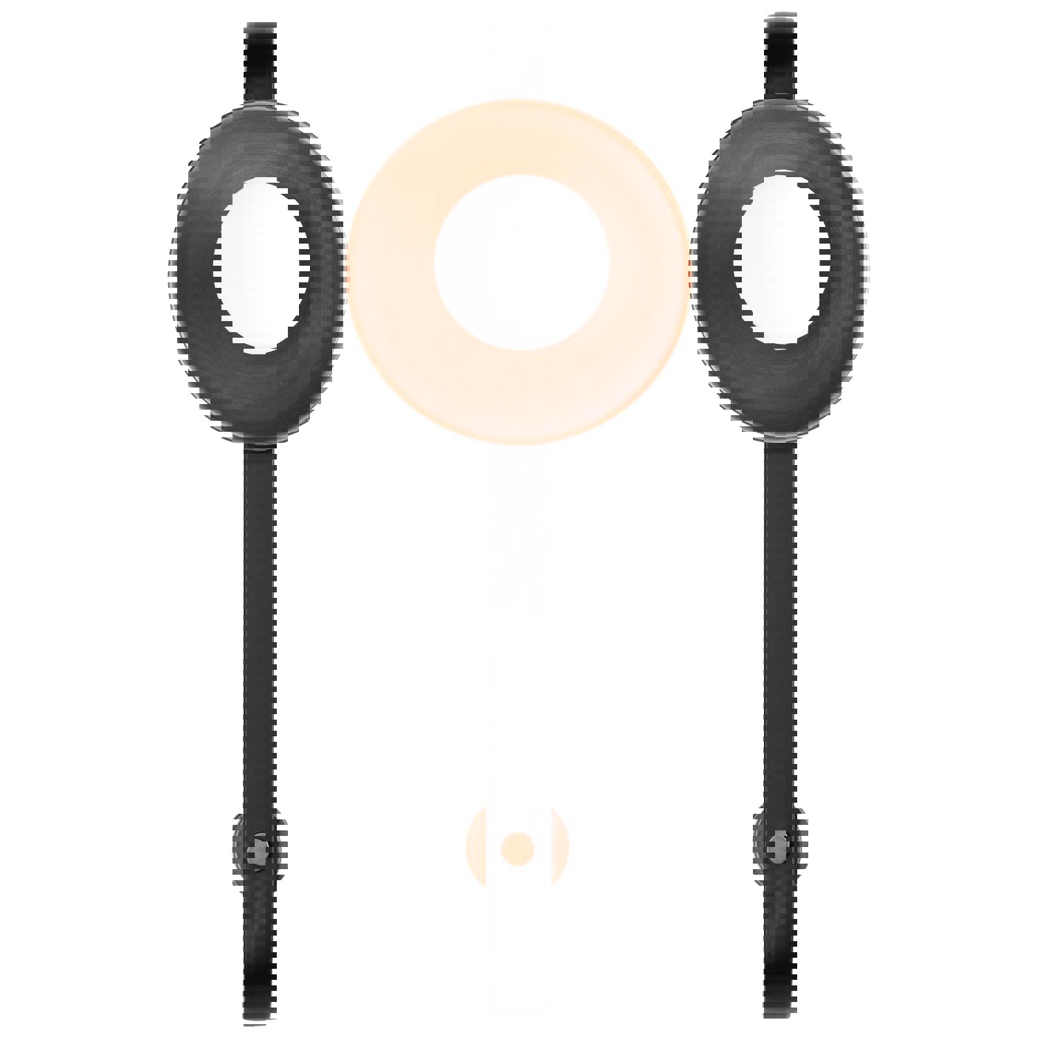 SATCO/NUVO Colby 1 Light Wall Sconce Matte Black And Antique Copper Finish (60-7740)