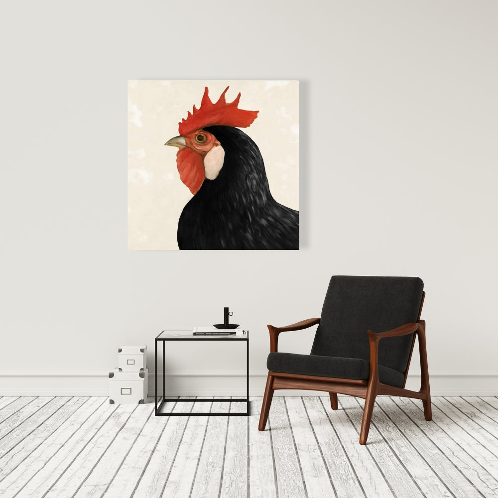 Beautiful Black Hen Fine Art Gallery Wrapped Canvas 36x36
