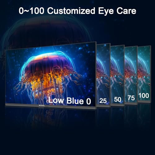 SANSUI 27 Inch Full HD IPS Monitor with 100Hz Refresh Rate and Built-in Speakers