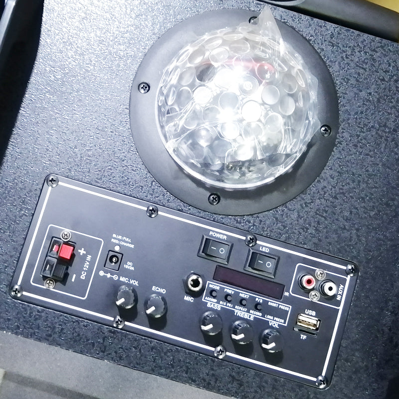 12" Subwoofer Karaoke DJ Party Speaker with LED Lights and Bluetooth Connectivity