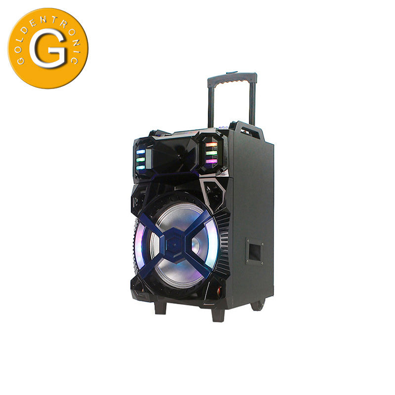 12" Subwoofer Karaoke DJ Party Speaker with LED Lights and Bluetooth Connectivity