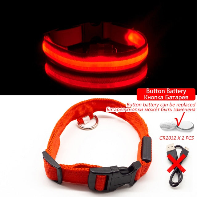 USB Rechargeable LED Dog Collar for Safety & Visibility - Small, Medium, Large Dogs