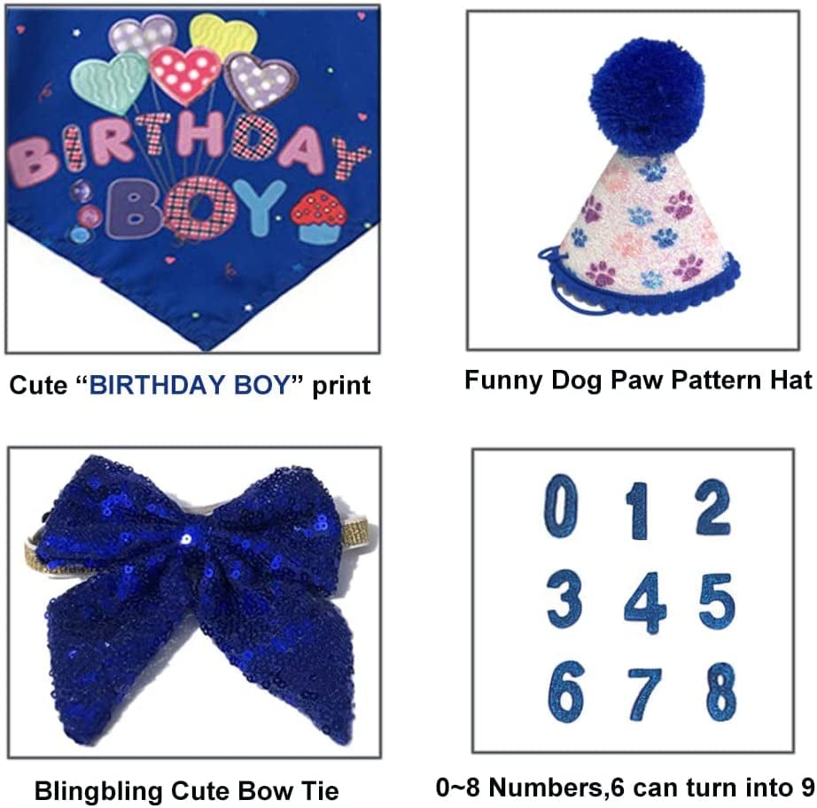 Elegant Dog Birthday Party Set with Hat, Bandana, and Bowtie