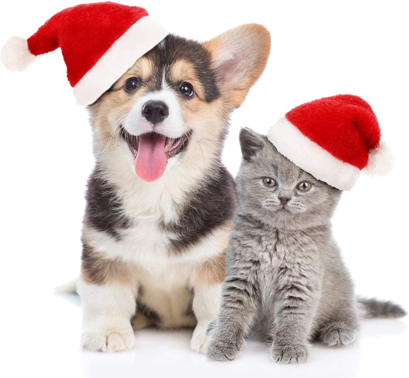 4-Piece Festive Dog Santa Hats for Christmas Celebrations