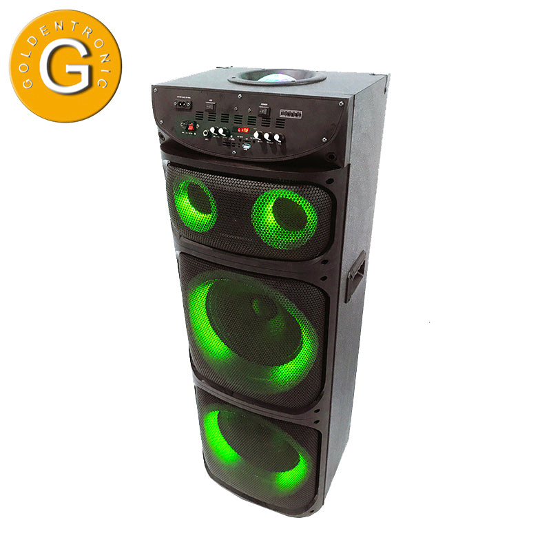 Professional 2X12" DJ Music System with Rechargeable Battery