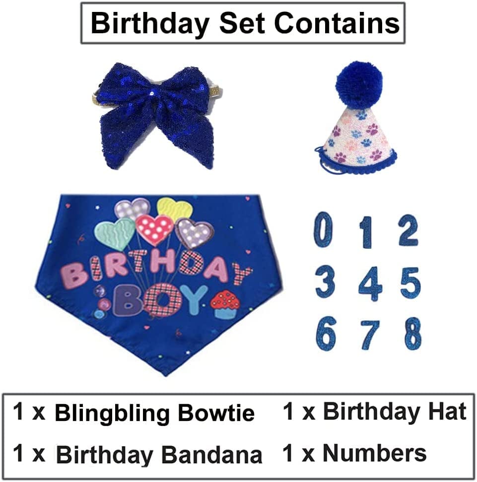 Elegant Dog Birthday Party Set with Hat, Bandana, and Bowtie