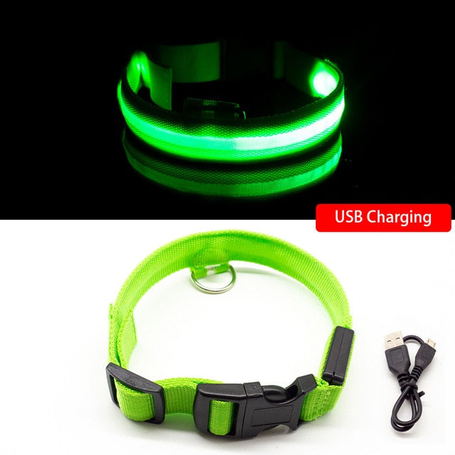 USB Rechargeable LED Dog Collar for Safety & Visibility - Small, Medium, Large Dogs