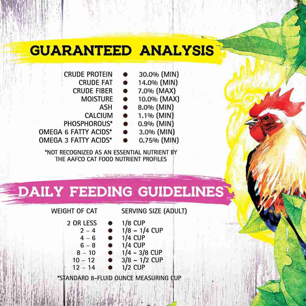 Inception Chicken Recipe Dry Cat Food - Premium Nutrition for All Life Stages