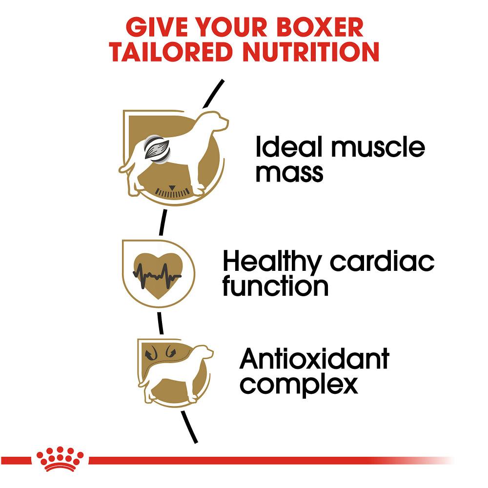 Royal Canin Boxer Adult Dry Dog Food - Breed-Specific Nutrition for Purebred Boxers