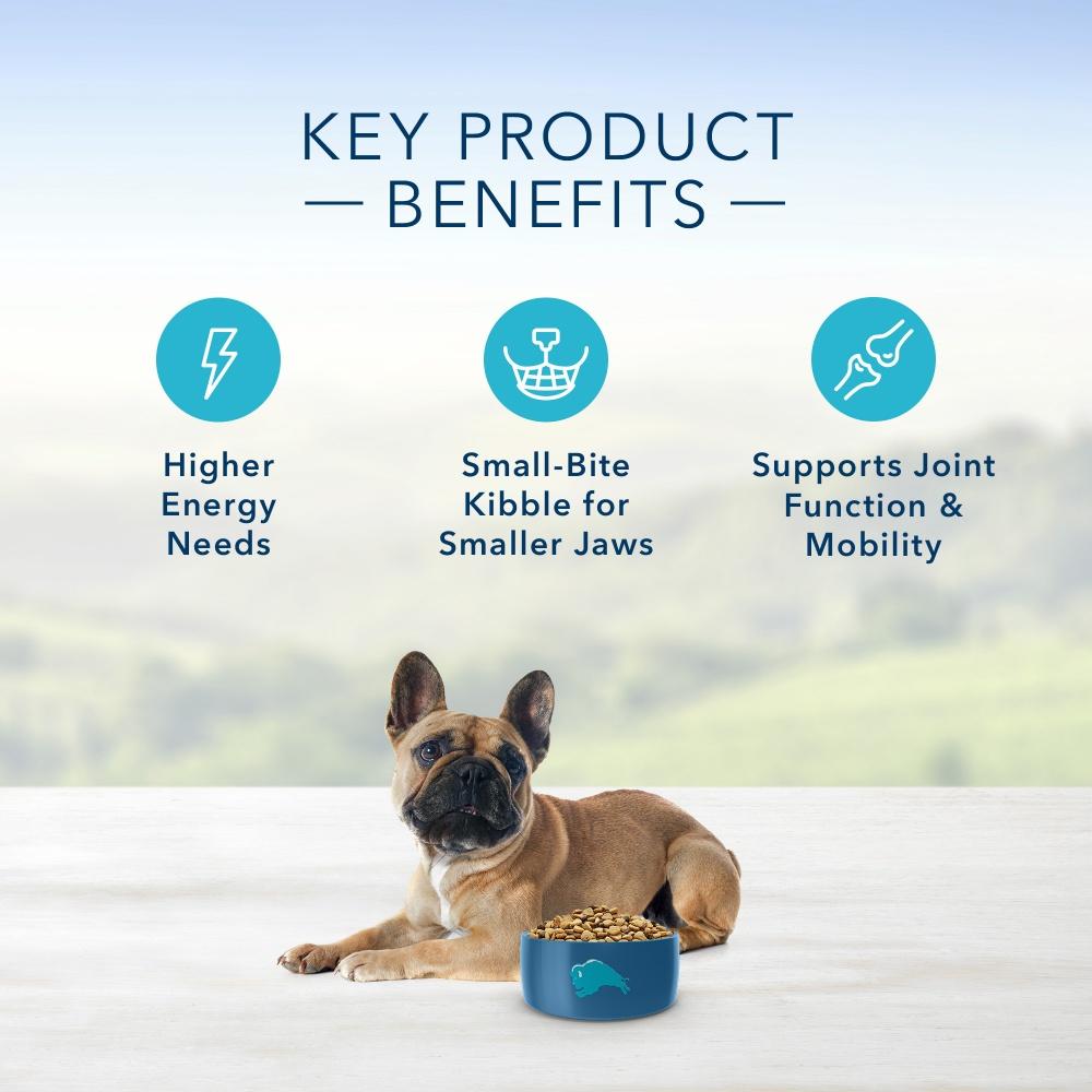 Blue Buffalo Life Protection Small Breed Chicken & Brown Rice Adult Dog Food