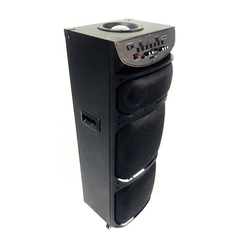 Professional 2X12" DJ Music System with Rechargeable Battery
