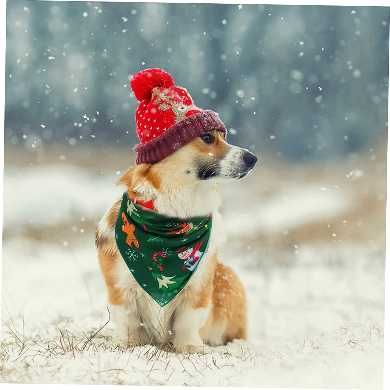 LIFKICH Festive Pet Accessories Set - Christmas Themed Outfits for Dogs and Cats